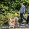 les 20 ans de Cani-Copains