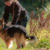 les 20 ans de Cani-Copains