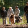 les 20 ans de Cani-Copains