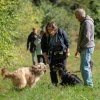 les 20 ans de Cani-Copains