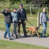 les 20 ans de Cani-Copains