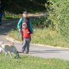 les 20 ans de Cani-Copains