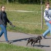 les 20 ans de Cani-Copains