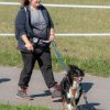 les 20 ans de Cani-Copains