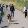 les 20 ans de Cani-Copains