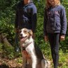 les 20 ans de Cani-Copains