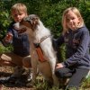 les 20 ans de Cani-Copains