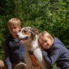 les 20 ans de Cani-Copains