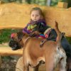 les 20 ans de Cani-Copains