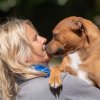 les 20 ans de Cani-Copains