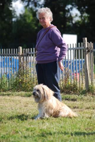 Cani-Copains