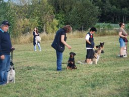 Cani-Copains