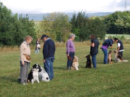 Cani-Copains