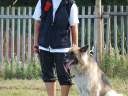 Cani-Copains