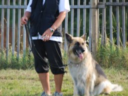 Cani-Copains