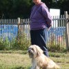 Cani-Copains