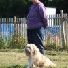 Cani-Copains
